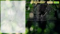 /album/pokedex-classico/a012-bughater-jpg/